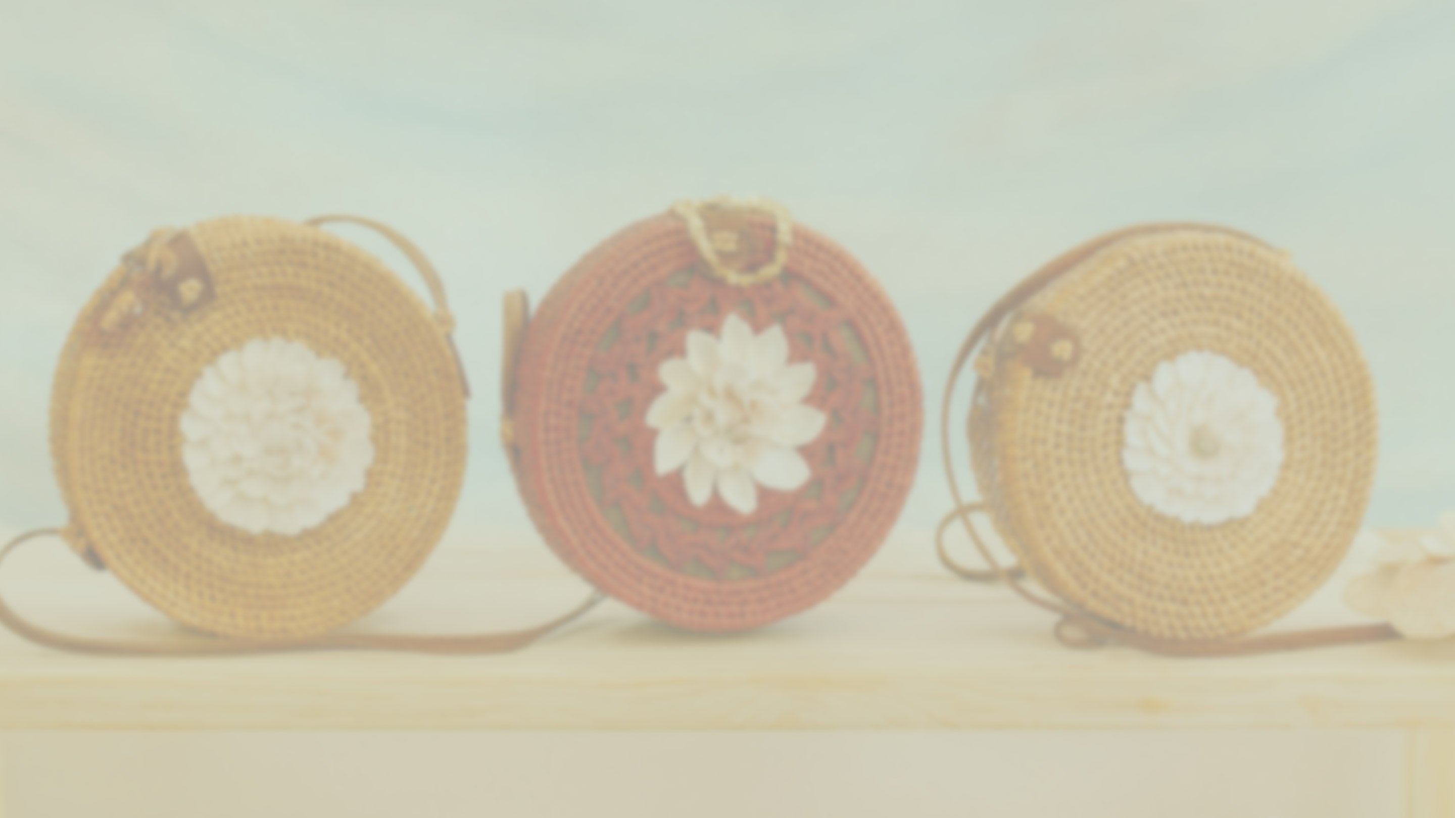 Handbags & Accessories