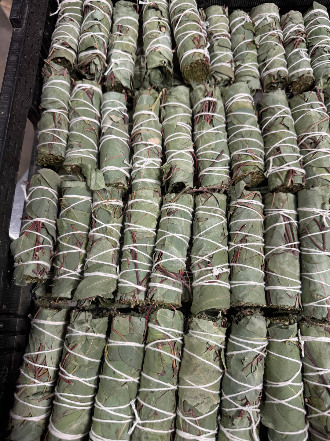 Eucalyptus herb wand bundle with fresh coastal leaves for holistic cleansing rituals