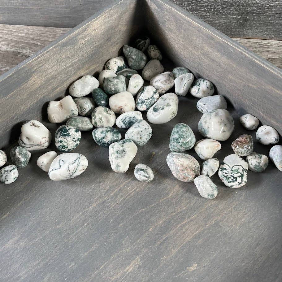 Tree Agate Tumbled Stones bulk crystal lot for grounding meditation and coastal wellness