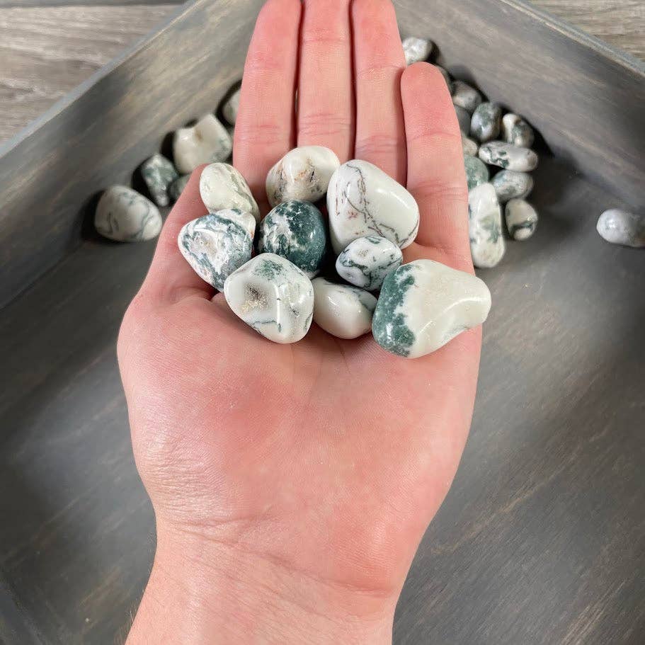 Tree Agate Tumbled Stones bulk crystal lot for grounding and earth energy healing