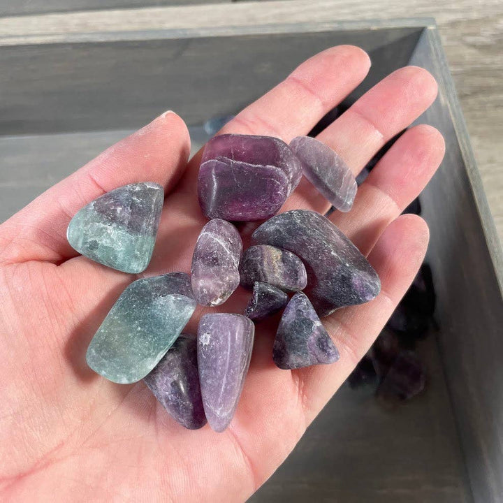 Tumbled Fluorite Healing Crystals