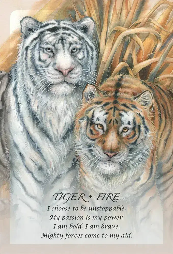 Spirit of the Animals Oracle cards for intuitive guidance and soulful connection