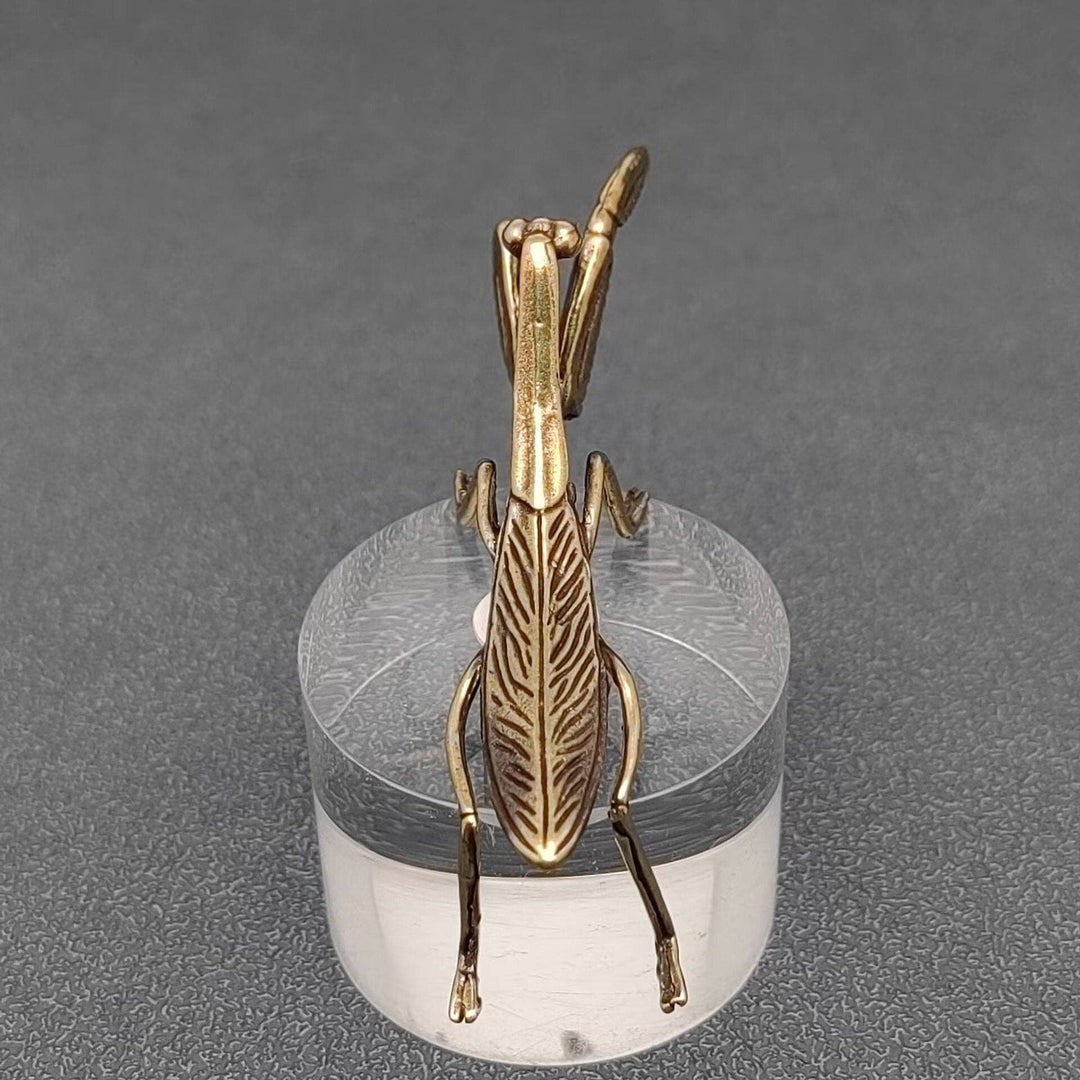 Brass Mantis Desktop Ornament bringing good luck charm to boho coastal decor