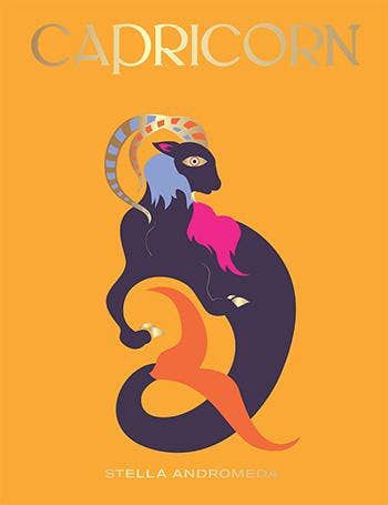 Capricorn zodiac gift from Anchored Soul holistic coastal boutique in Rhode Island