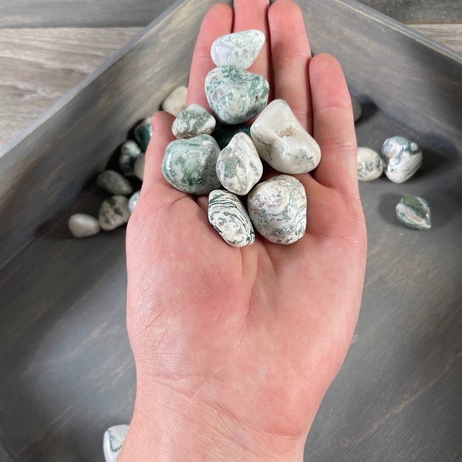 Tree Agate Tumbled Stones bulk crystal lot for grounding and coastal wellness rituals