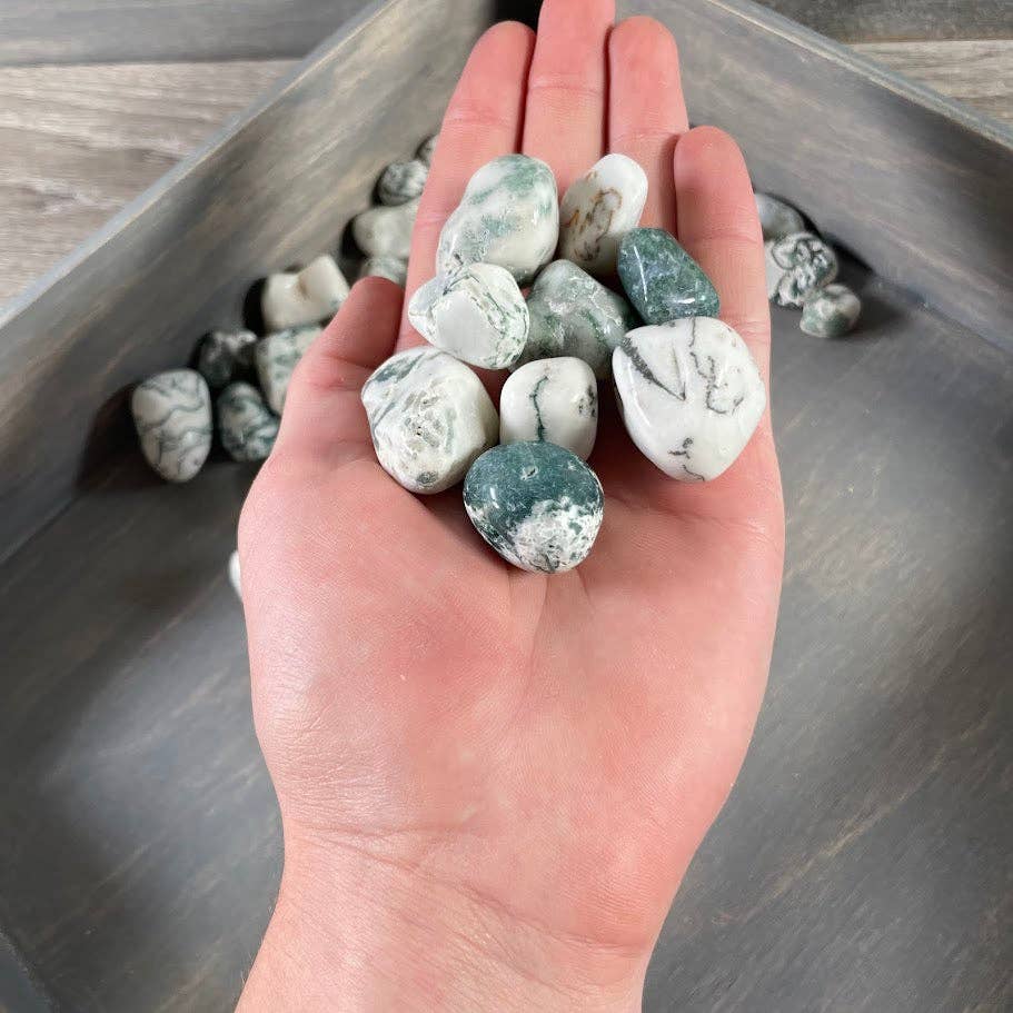 Tree Agate Tumbled Stones bulk crystal lot for grounding and coastal wellness