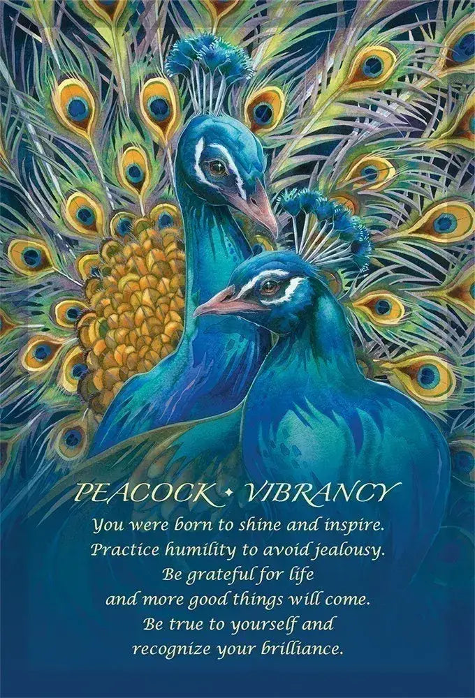 Spirit of the Animals Oracle cards deck for soulful coastal spiritual guidance