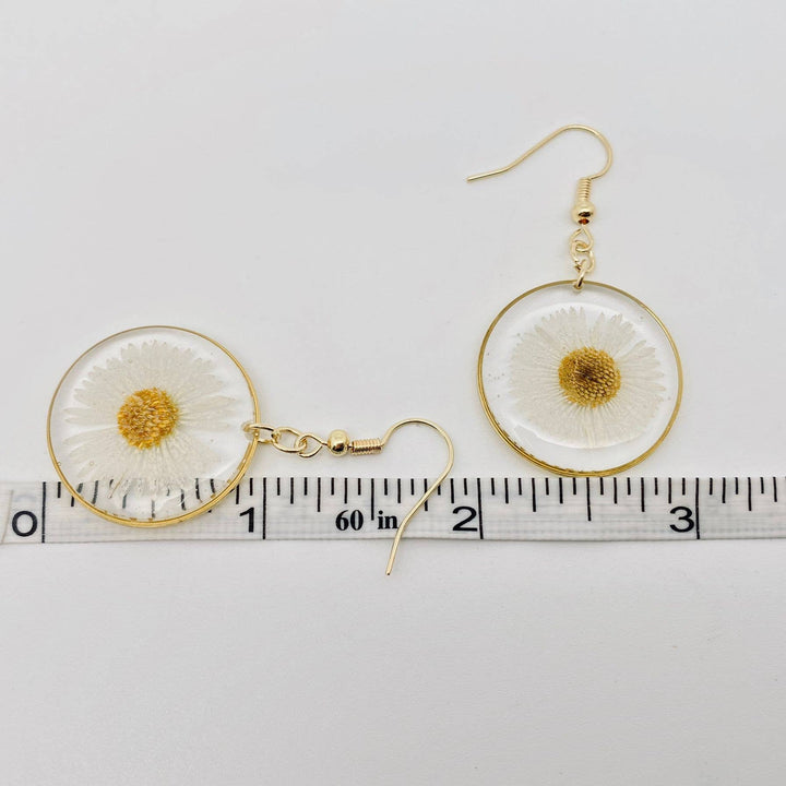 Leucanthemum Paludosum dried flower circular earrings handcrafted for the coastal bohemian spirit