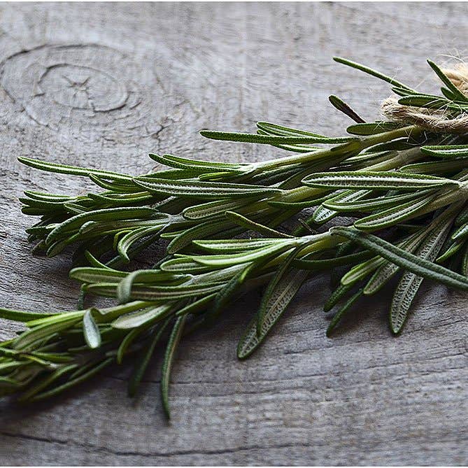 Rosemary Essential Oil small bottle for grounding aromatherapy and coastal ritual healing