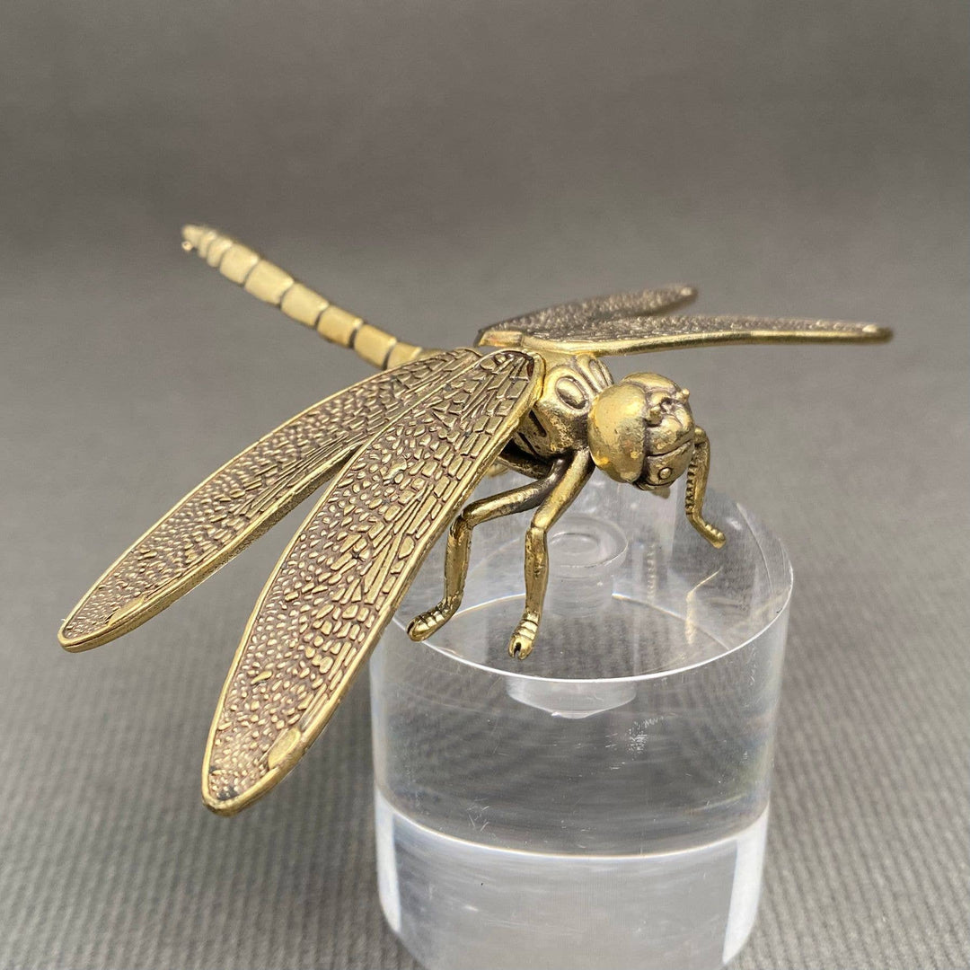 Brass dragonfly desktop ornament for transformation altar decor and boho coastal living