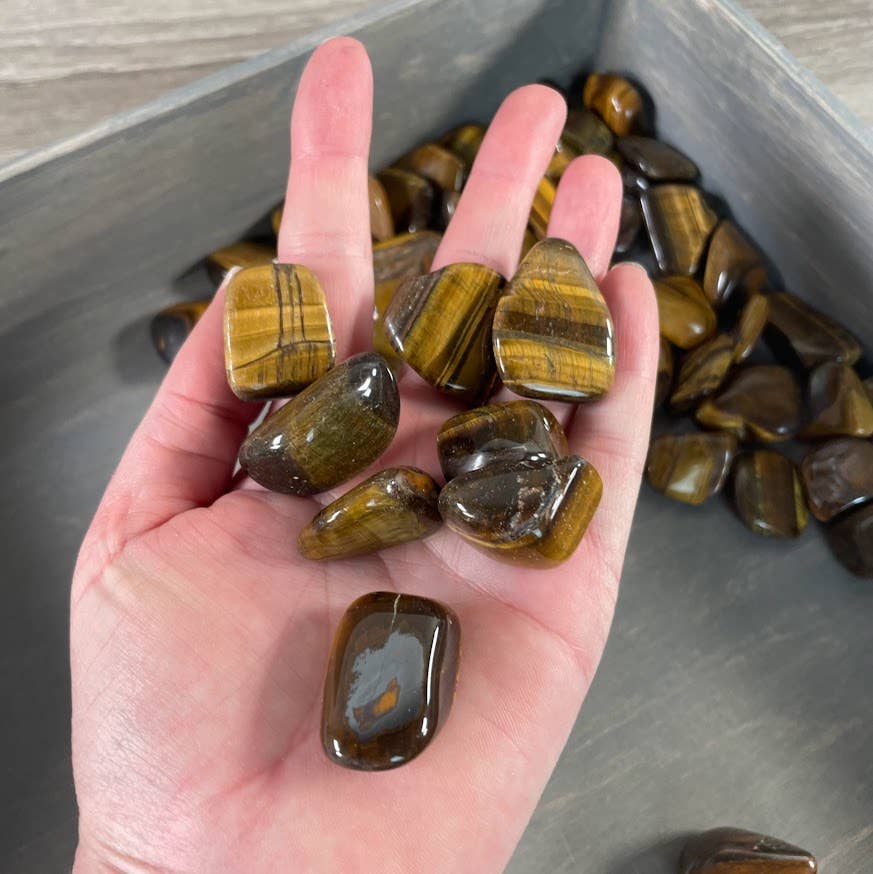 Tiger Eye Tumbled Stones Medium Size 1 LB bulk wholesale for crystal healing