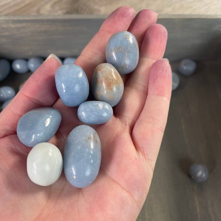 Soft blue Angelite Tumbled Stones one pound bulk healing crystals for coastal boho spaces
