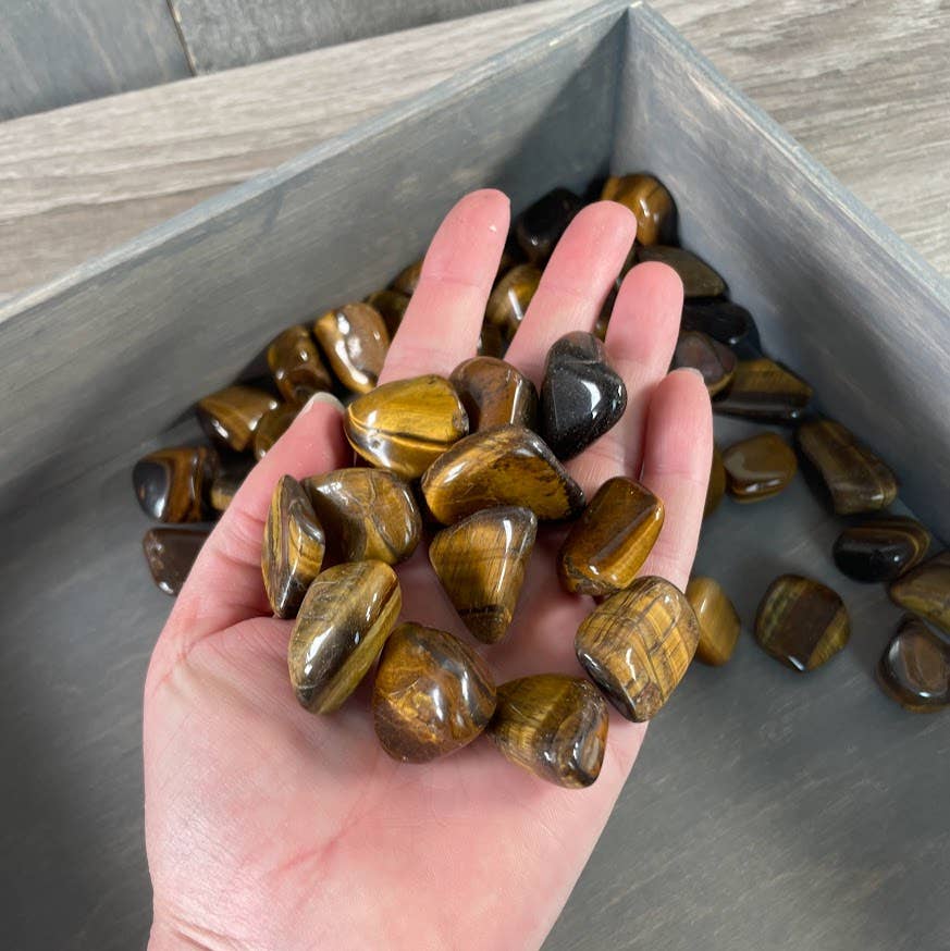 Tiger Eye Tumbled Stones Medium Size 1 LB bulk wholesale grounding crystals