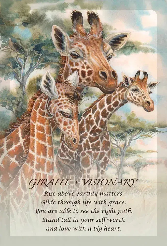 Spirit of the Animals Oracle Cards for soulful guidance and nature-inspired divination