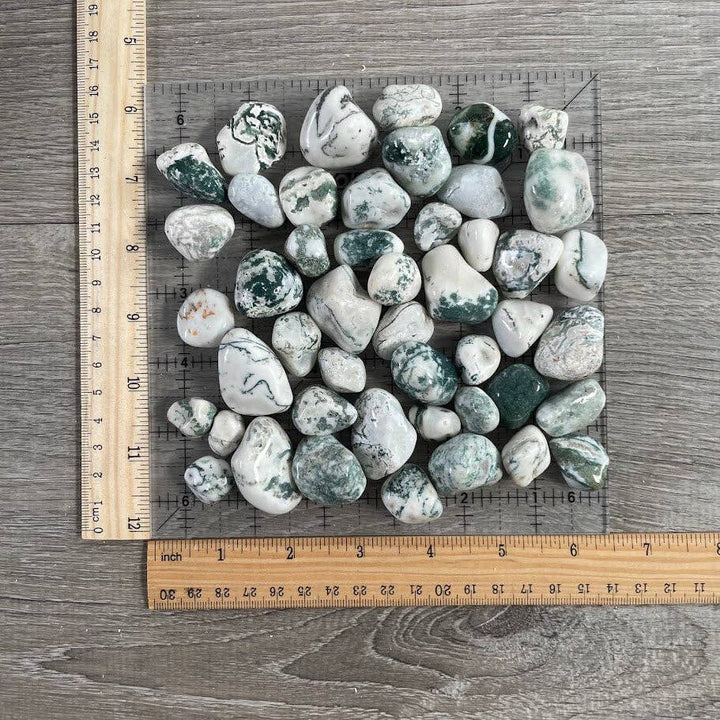 Tree Agate Tumbled Stones bulk lot for crystal healing and grounding rituals