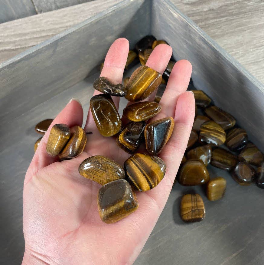 Tiger Eye Tumbled Stones Medium Size 1 LB bulk wholesale for crystal healing