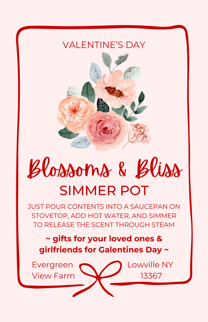 Simmer Pot Kit Floral Botanical Spring Summer Mothers Day