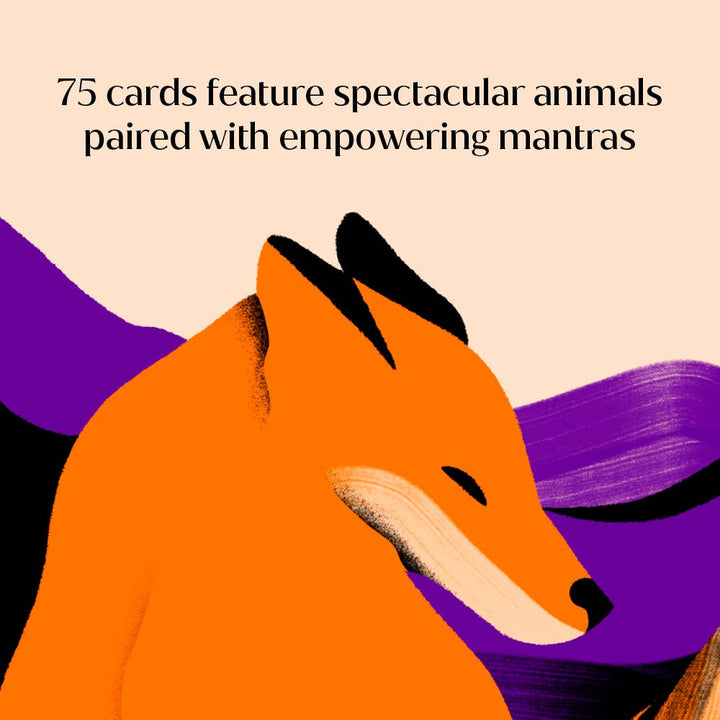 Animal Power Deck oracle cards featuring illustrated animal wisdom for spiritual guidance