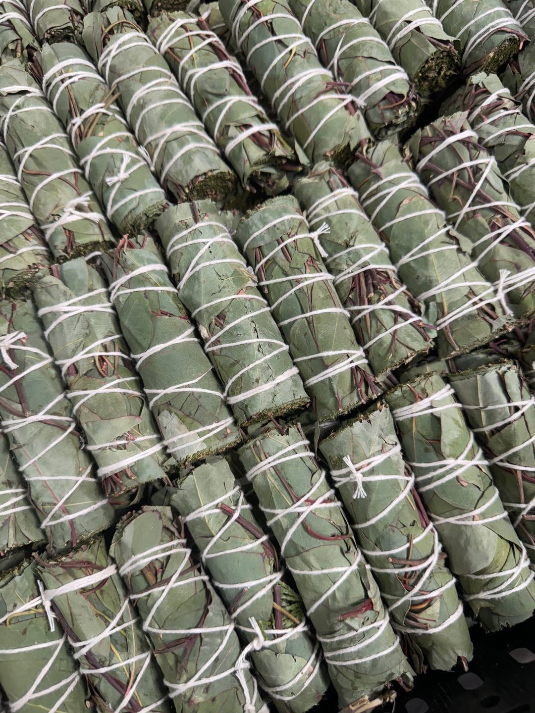 Eucalyptus herb wand bundle tied with natural twine for coastal holistic rituals