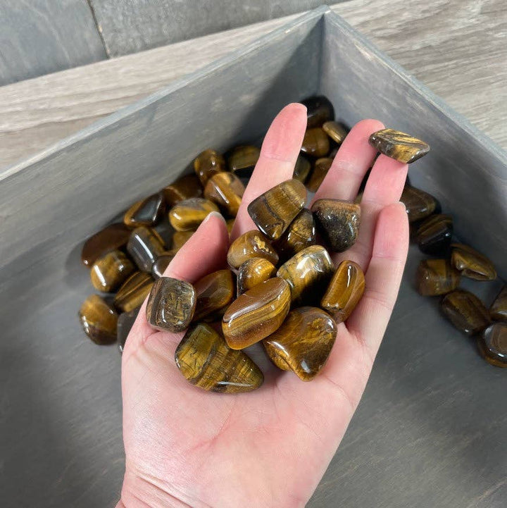 Tiger Eye Tumbled Stones Medium Size 1 LB bulk wholesale for crystal healing