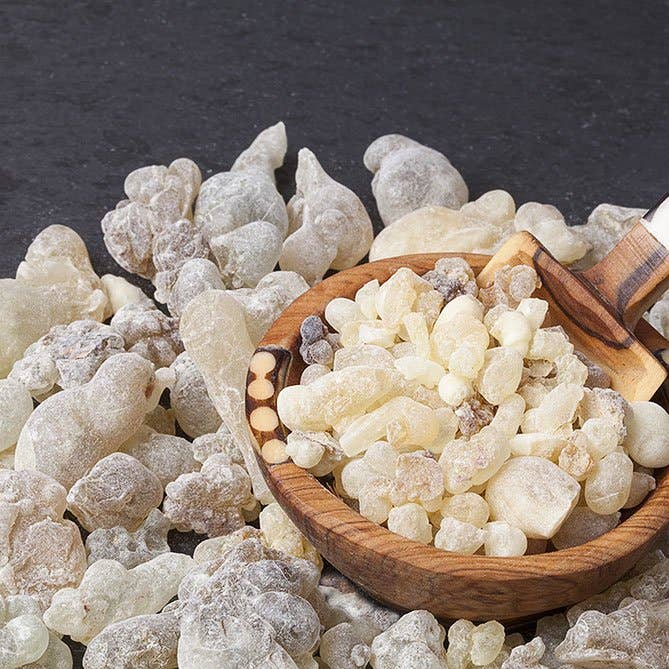 Frankincense Essential Oil small bottle for grounding rituals and spiritual aromatherapy healing