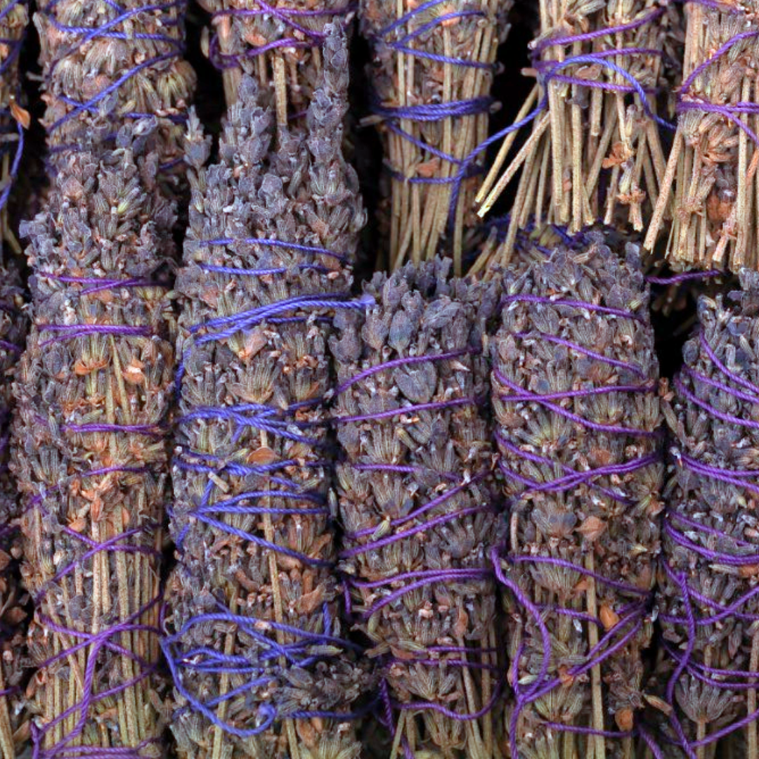 Dried Lavender Herb Wand for calming smoke cleansing rituals and coastal wellness
