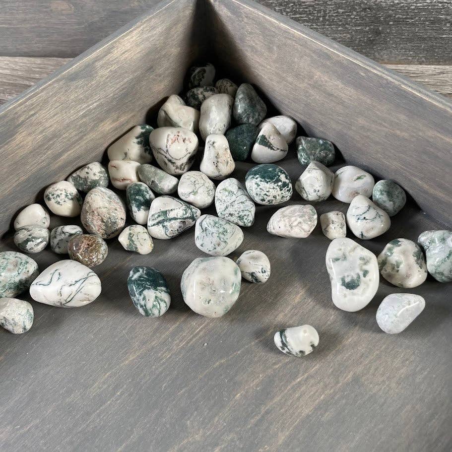 Tree Agate Tumbled Stones bulk crystal lot for grounding earth energy healing