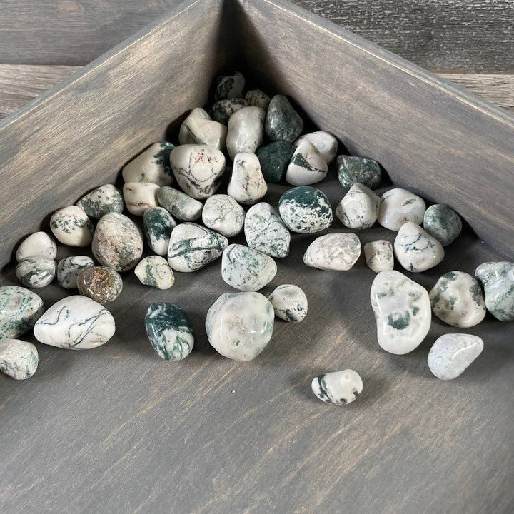 Tree Agate Tumbled Stones bulk crystal lot for grounding earth energy healing
