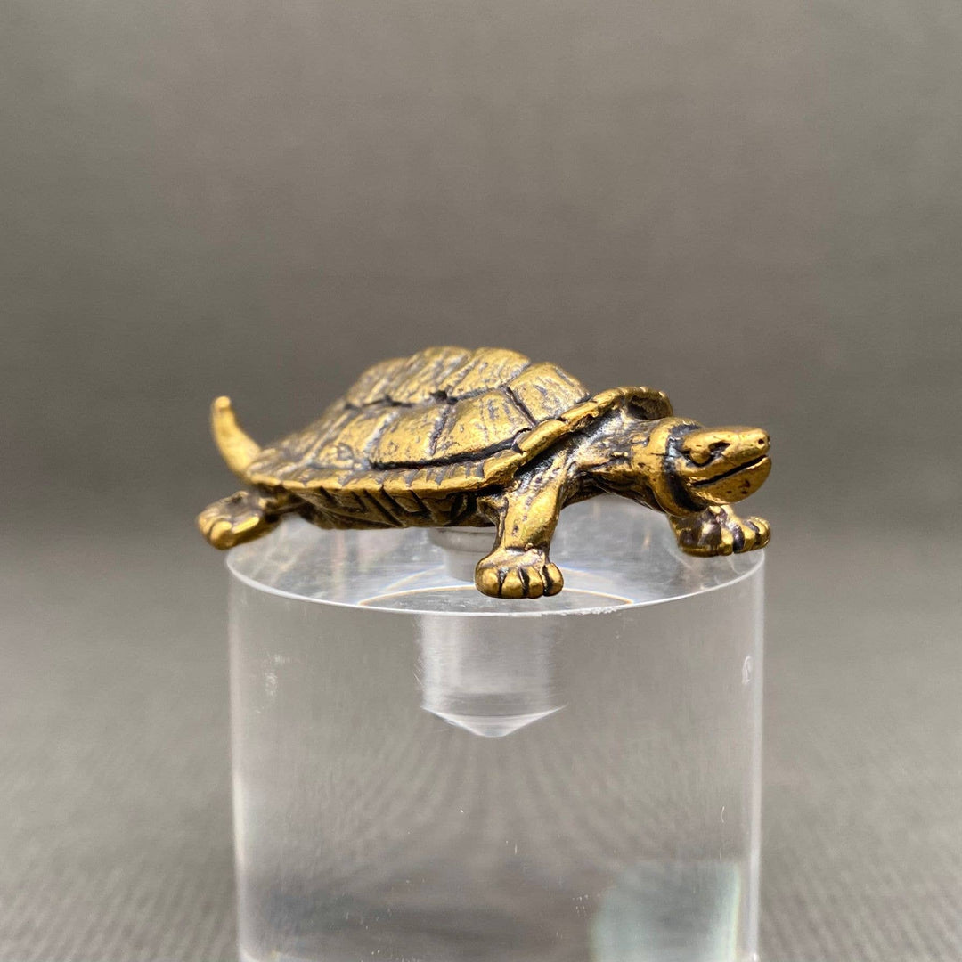 Brass Turtle Decoration Desktop Ornament symbolizing longevity and grounding coastal boho energy