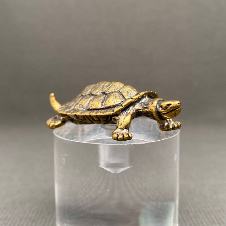Brass Turtle Decoration Desktop Ornament symbolizing longevity and grounding coastal boho energy
