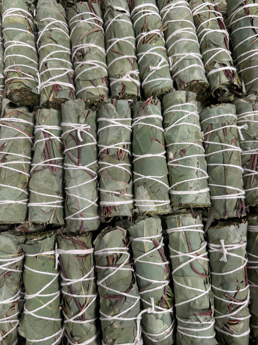 Eucalyptus herb wand bundle tied with natural twine for coastal cleansing rituals