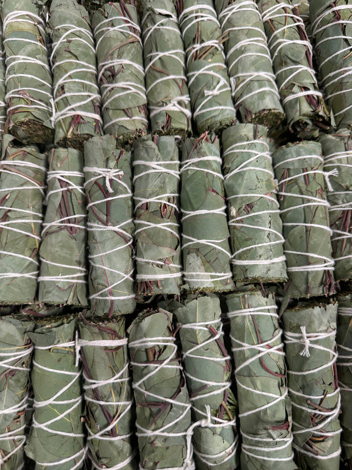 Eucalyptus herb wand bundle tied with natural twine for coastal cleansing rituals