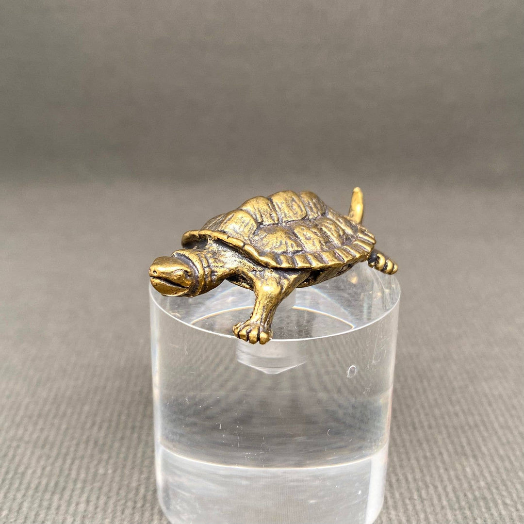 Brass Turtle Desktop Ornament handcrafted longevity symbol for coastal boho spiritual decor