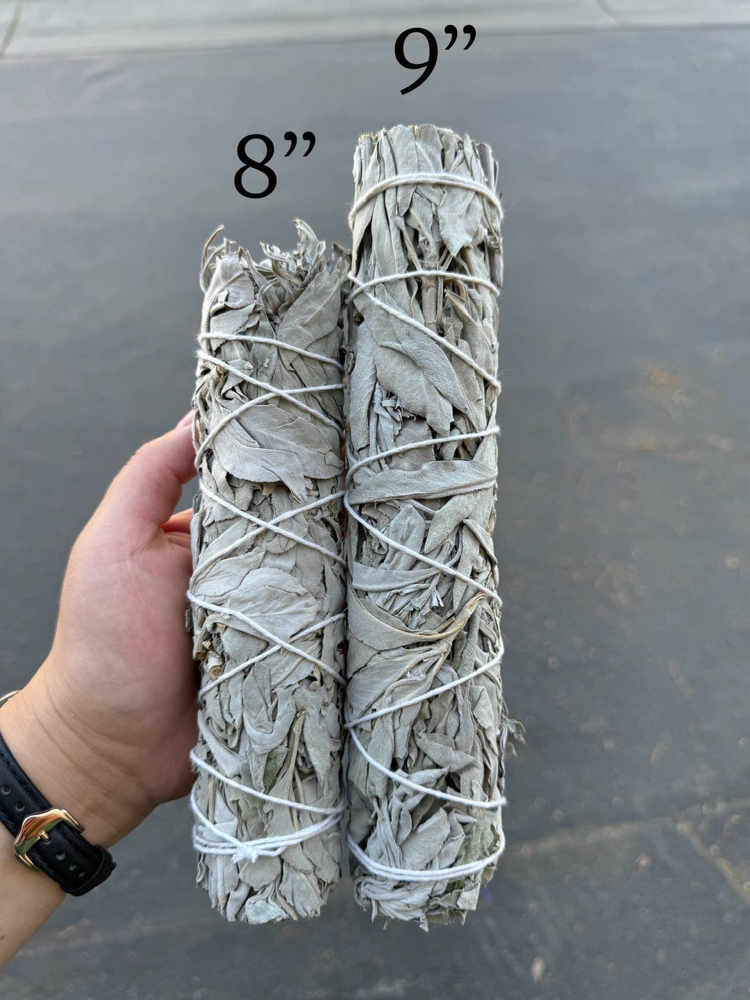 California White Sage Herb Wand 9 Inch bundle for ritual smoke cleansing