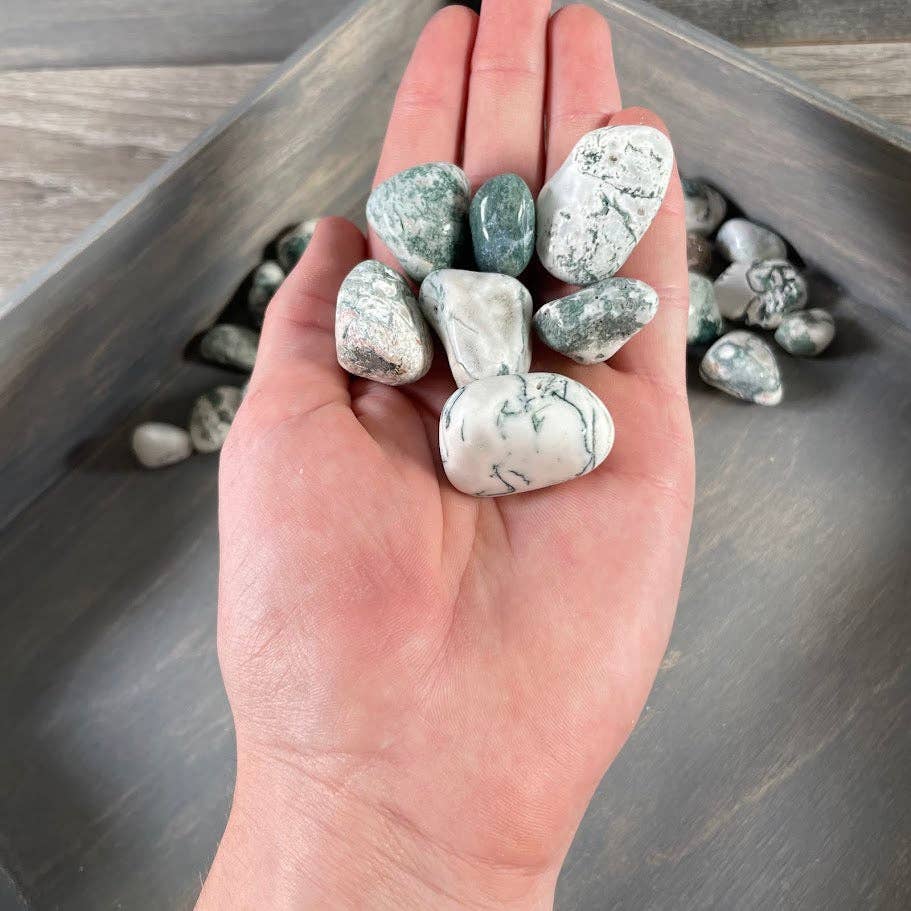 Tree Agate Tumbled Stones bulk crystal lot for grounding and earth energy healing