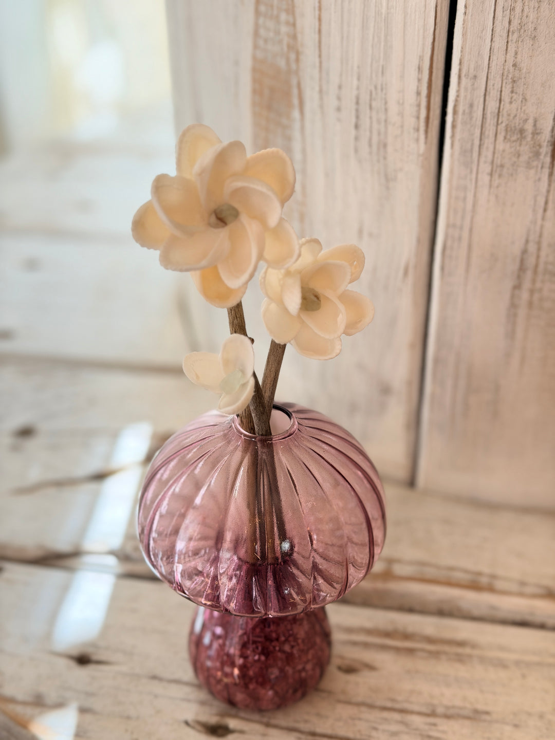 Anchored Soul Mushroom ZenFlower with fluorite crystal on handcrafted coastal driftwood art