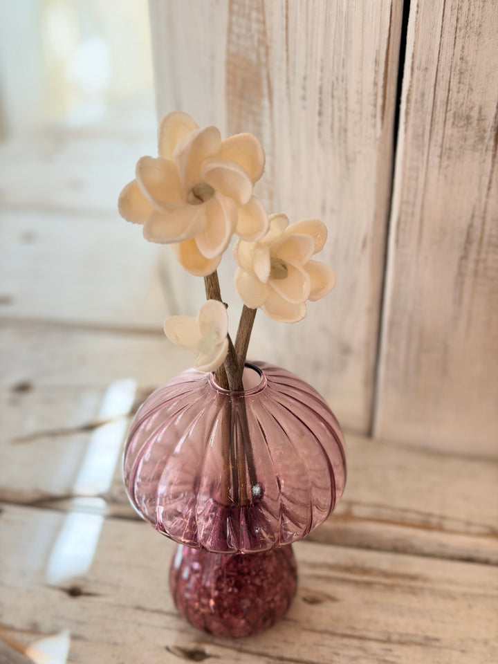 Anchored Soul Mushroom ZenFlower with fluorite crystal on handcrafted coastal driftwood art
