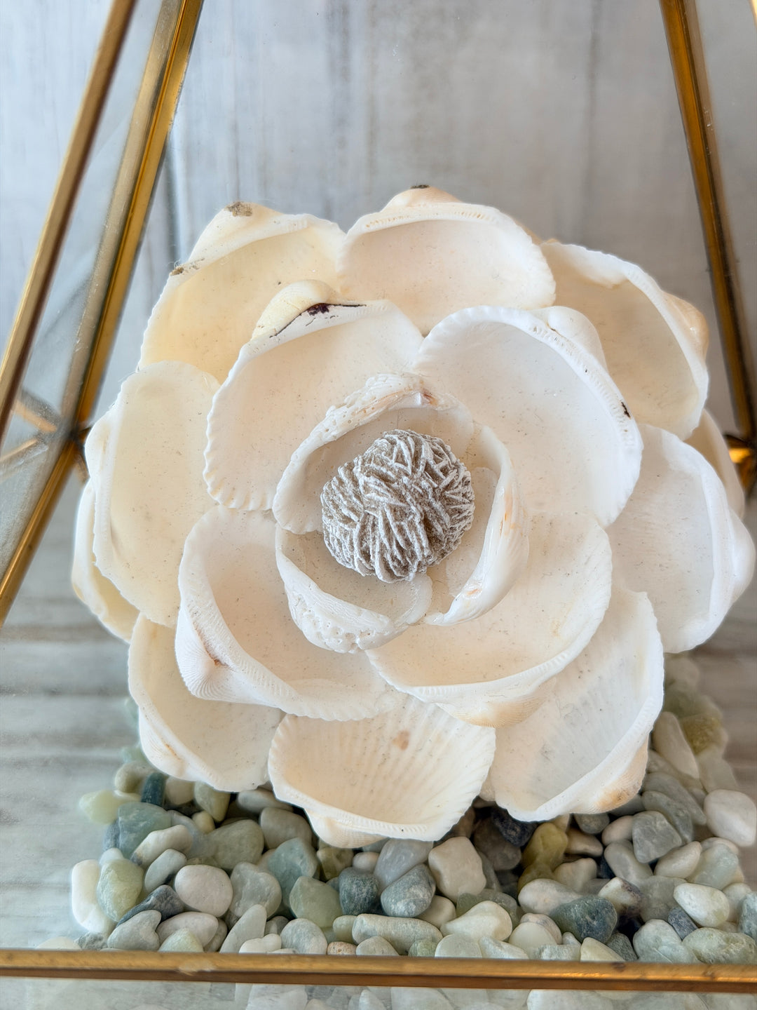 Rose ZenFlower Terrarium