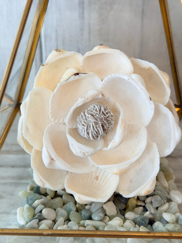 Rose ZenFlower Terrarium