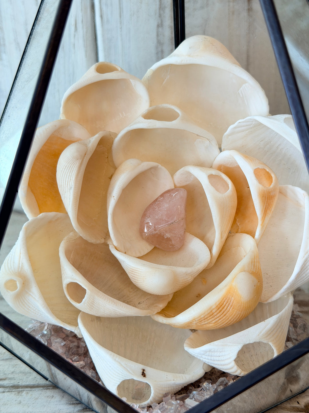 Rosey Love ZenFlower Terrarium