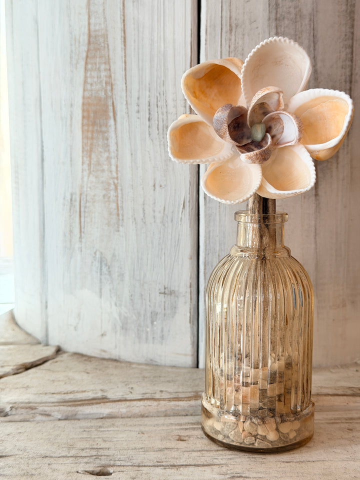 Harmony ZenFlower in Vase