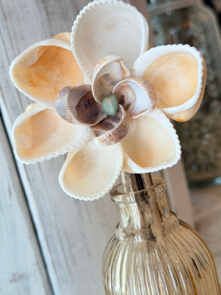 Harmony ZenFlower in Vase