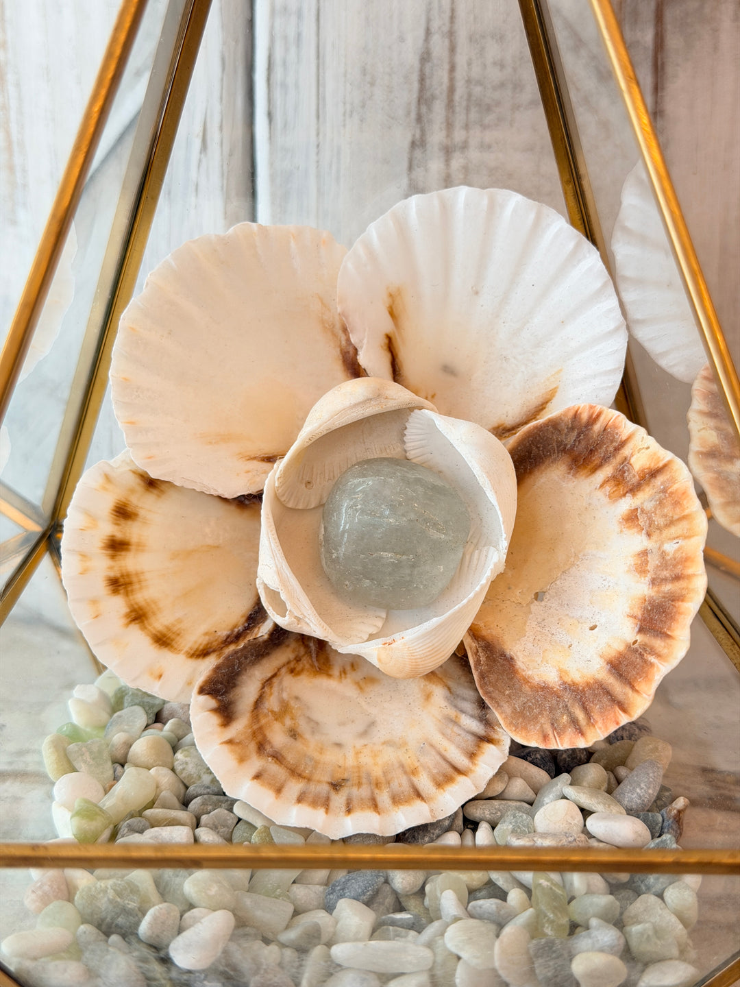 Good Fortune ZenFlower Terrairum