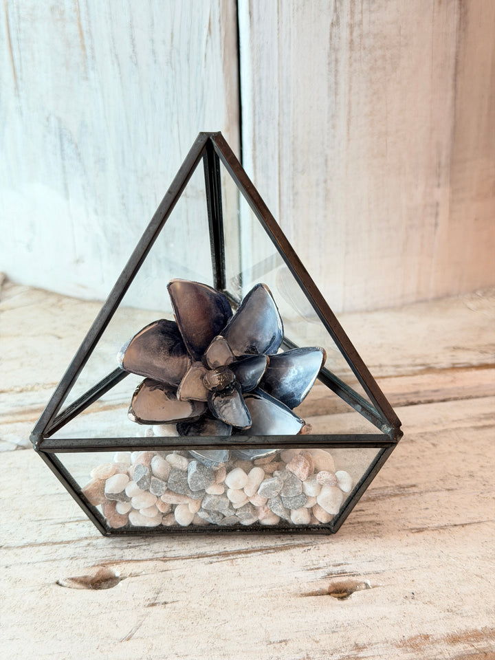 Mini Master Healer ZenFlower Terrarium