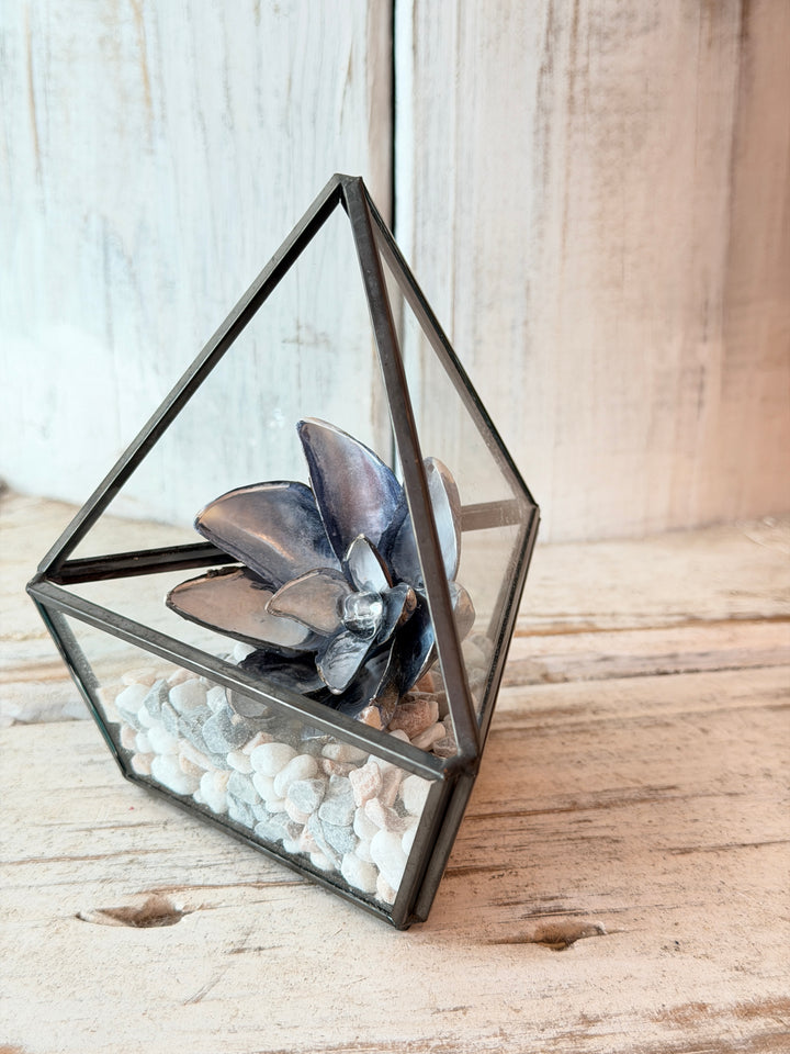 Mini Master Healer ZenFlower Terrarium
