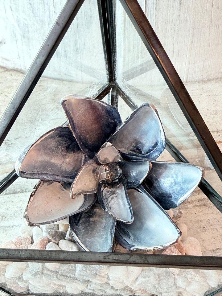 Mini Master Healer ZenFlower Terrarium