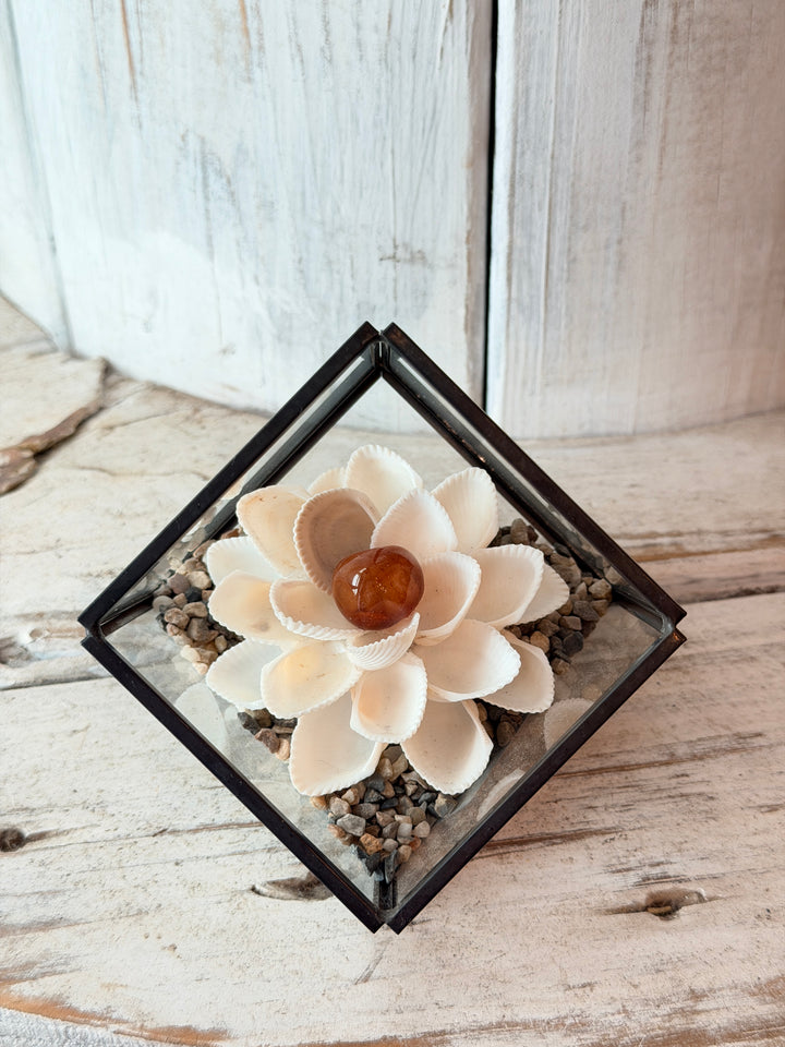 Mini Vitality ZenFlower Terraroum