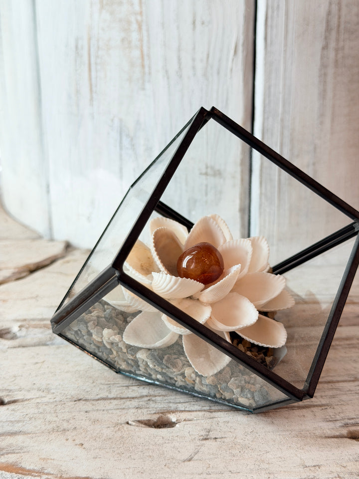 Mini Vitality ZenFlower Terraroum