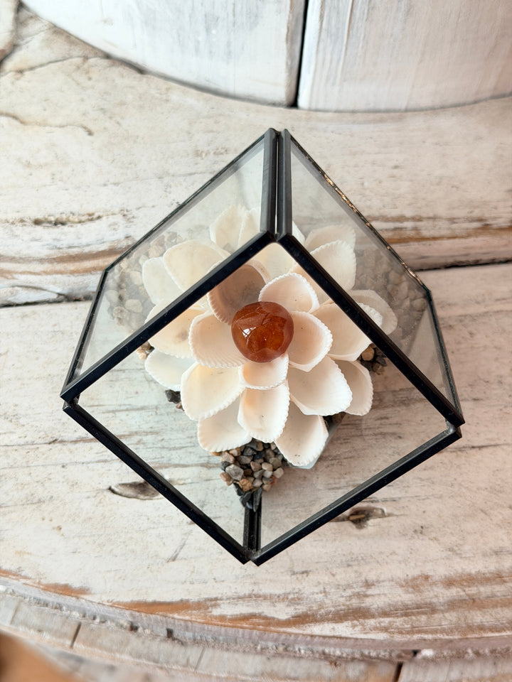 Mini Vitality ZenFlower Terraroum