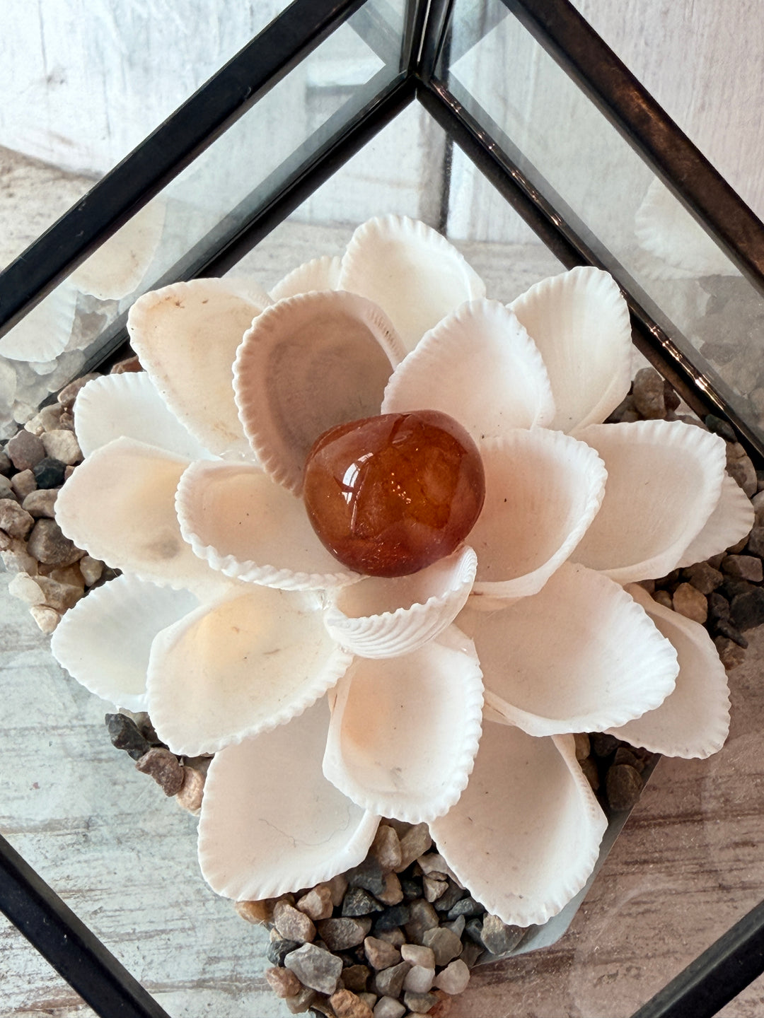 Mini Vitality ZenFlower Terraroum